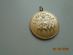 1991 LRV-Országos Lovas Szövetség Aranyozott Bronz póniló regionális verseny emlék medál Belgium