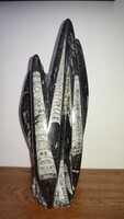 Orthoceras standing tower marble rock fossil fossil fossil