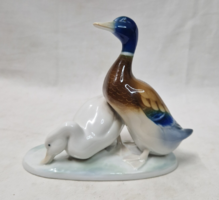 Old Metzler Ortloff Ilmenau German porcelain duck pair in perfect condition 14 cm.