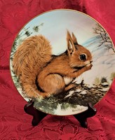 Squirrel Motif English Porcelain Plate, Hunting Theme (L4462)