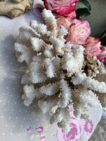 Természetes tengeri korallfa, extra nagy méretű, fehér színű tengeri korall