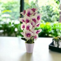Nagyméretű kétszálas krémszínű, ciklámen élethű orchidea OR213KRCI