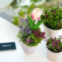 Spring table decoration with purple flowers tug103li