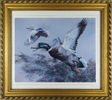 1R342 swarovski hunting theme colorful pastel framed wild ducks print 48 x 54 cm