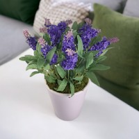Dark purple lavender in clay pot lev101sl