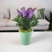 Light purple lavender in a clay pot lev102vl