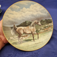 Fenséges ló arab, arany perem ,lovas tányér .gyűjtemény ló
