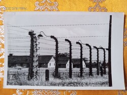 Auschwitz, original Polish, marked photo sheet 2.