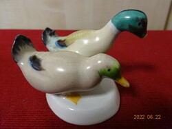 Aquincum porcelain figurine, pair of wild ducks. He has! Jókai.