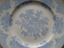 English Asiatic pheasants porcelain plate 22.5 cm