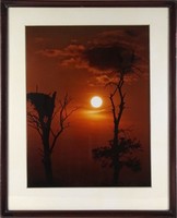 1R363 xx. Century photographer: nature photo - Africa 52 x 42 cm