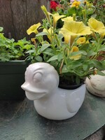 Duck-shaped porcelain bowl