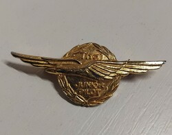 Gold-plated pilot brooch pin