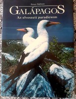 Galapagos: The Lost Paradise by Peter Salwen
