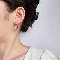 Special beautiful earrings made of medical steel