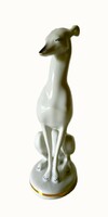 Majestic whippet/ greyhound porcelain figurine, iris cluj