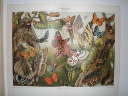 1890s, color German lithography, in printing condition