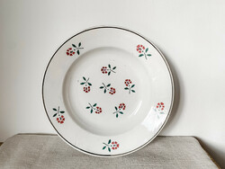 Wilhelmsburg wall plate, hard ceramic dinner plate, rustic decoration.