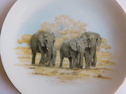 Elephant plate - Japanese porcelain
