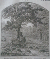 D203435 p289  Somogyi juhász  -Somogy vm. Bakony  -  fametszet egy 1866-os újságból
