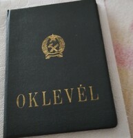 1955 :Lenin Intézet Oklevele : Dokumentum