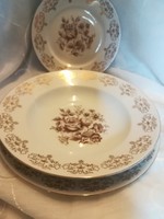 Cseh porcelán tányér /MZ/ barna rózsákkal