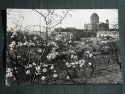 Képeslap, Esztergom,Bazilika, Főszékesegyház,templom,vár látkép részlet, 1958-