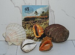 Tengeri Csigák-Kagylók - Tengerek Ékszerei 4 db egyben eladó + Szakirodalom a tengerek ékszereiről!