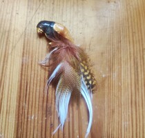 Vintage aranyozott zománcos papagáj bross valódi tollakkal