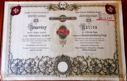 Salgó-Tarjáni Kőszénbánya részvény, 25x30, összesen 750 Pengő, 1935