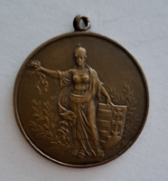 1920-1930. "Magyar Athletikai Szövetség... " Ludvig gyártói jelzéssel Sport érem (35 mm)(18)