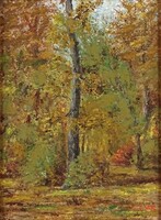 1S122 Magyar : Őszi erdőbelső