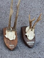 Hollóházi Deer Antler Trophy on Base from 1940 and 1942