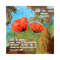 Lantos György: Pipacs 35*35 cm