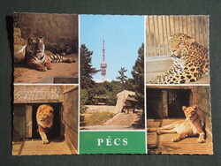 Képeslap,Pécs,mozaik,Mecsek ZOO állatkert,oroszlán,tigris látkép,részletek, 1982-