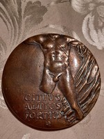CITIUS, ALTIUS, FORTIUS, -FEJÉR MEGYEI TANÁCS SPORT DÍJ -NAGY BRONZ PLAKETT (8)