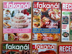 7 db. Fakanál / Recept-tár magazin egyben