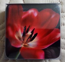 Tulipán mintás parafa poháralátét készlet dobozában (6 db)