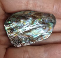 Abalone paua páve színjátszós kagyló bross kitűző