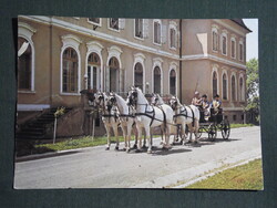 Képeslap,Szilvásvárad,Lipicai ötös fogat látkép,részlet, 1985-