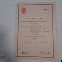 SZTÁLIN VASMŰ Oktatási Osztály : Képesített könyvelői bizonyítvány 1955.