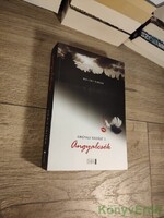 Nalini Singh: Angyalcsók