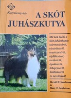 A skót juhászkutya Mit kell tudni a skót juhászkutya származásáról,