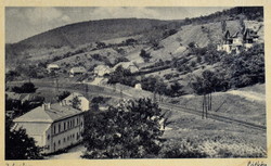 Zebegény  - látkép -    fotó képeslap  195?