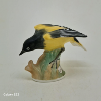 Crown Staffordshire Icterus galbula Narancstrupiál 7cm