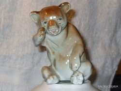 SIRÓ KOALA  MACKÓ
