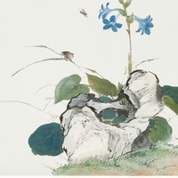Finom, antik ázsiai /Qing dinasztia, Kína/ botanikai illusztráció reprint, poszter, plakát 40*40 cm