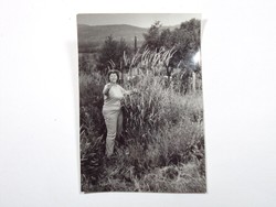 Régi kép fotó fénykép - nő, hölgy a természetben