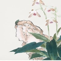 Finom, antik ázsiai /Qing dinasztia, Kína/ botanikai illusztráció reprint, poszter, plakát 40*40 cm
