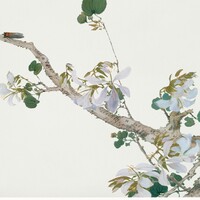 Finom, antik ázsiai /Qing dinasztia, Kína/ botanikai illusztráció reprint, poszter, plakát 40*40 cm